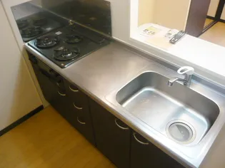 レオネクストハレイワ【202号室】のキッチン