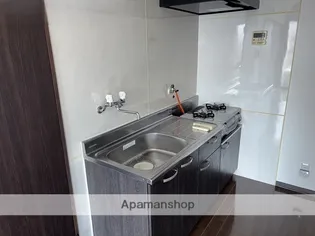 カレン照国【501号室】のキッチン