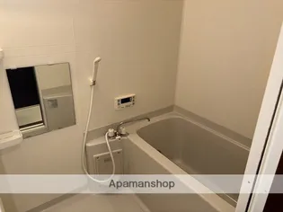 カレン照国【501号室】の風呂