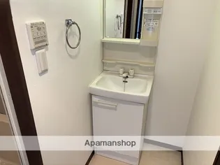 カレン照国【501号室】のその他画像