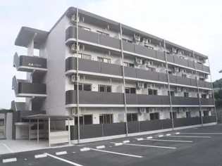 ヒルズ唐湊【306号室】の外観