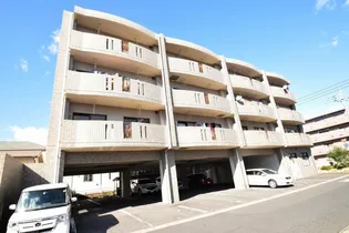 パープルセブンMの画像