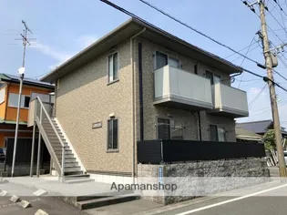 メープルT1の画像