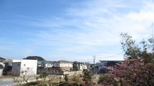 セジュール藍の画像