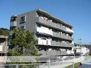 サンパティオの画像