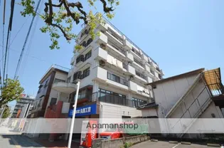 ホワイトシーガルの画像