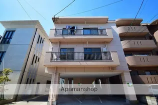 エバーグリーンの画像