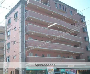 パレス姫の画像