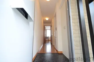 レオパレスフランシーズT&A【107号室】の玄関