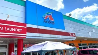 レオパレスドミール宮内【106号室】の周辺