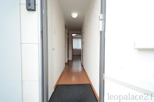 レオパレスドミール宮内【103号室】の玄関