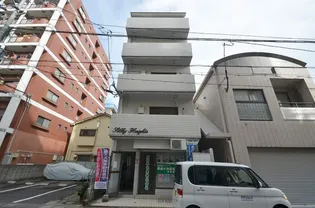 シルキーハイツ【501号室】の外観