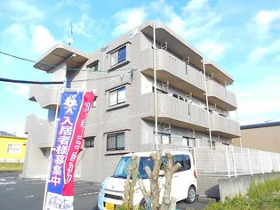 グレイスの画像