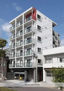 イリスパイラブライトマリーナの画像