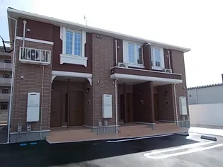 アモーレの画像