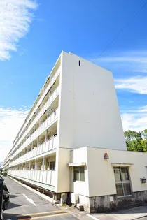 ビレッジハウス玉里1号棟【2階】の外観