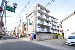 ペガサス9の画像