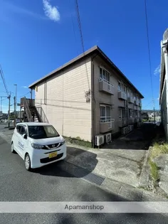 パピヨンサナエの画像