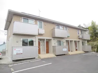 セントポーリアの画像