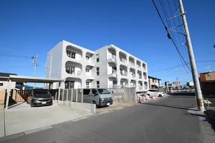 オルタンシアSの画像