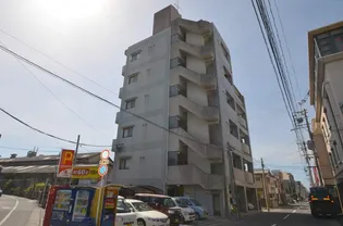 丸善高麗ハイツ【204号室】の外観