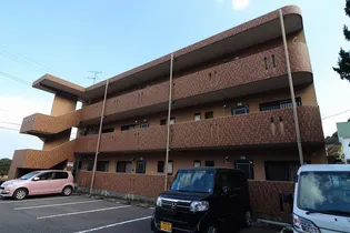 フィフティズAの画像