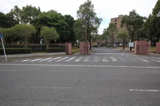 ハイツ花岡【1階】の周辺