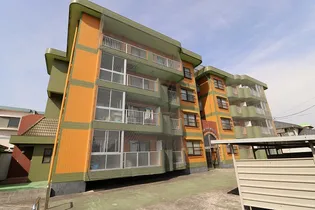 グリーンシールズ オコの画像