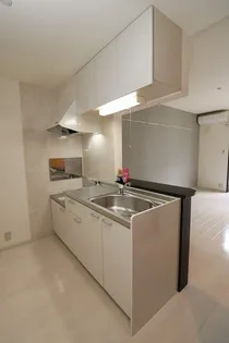 ロイヤルハイツ川西【1階】のキッチン