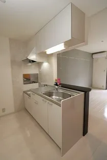 ロイヤルハイツ川西【2階】のキッチン