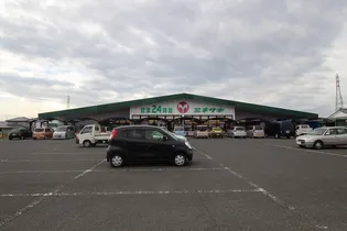 ロイヤルハイツ川西【1階】の周辺