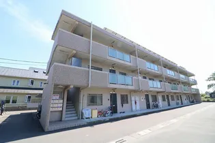 ディコルツァ寿の画像