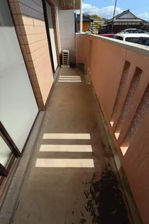 ライネクスト新川【3階】のその他画像