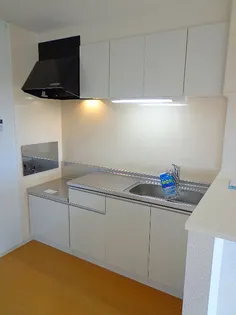 グランツ・プラシード【2階】のキッチン