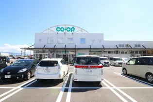 グランツ・プラシード【2階】の周辺