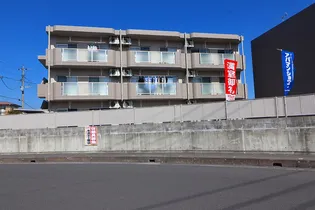 レクサス新川B棟【1階】の外観