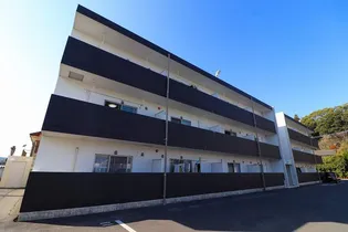 ハブ ブルースカイの画像