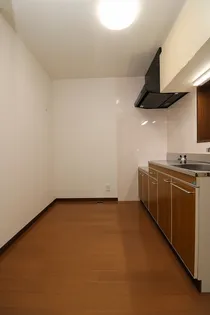 サンハイツ岡崎L【2階】の内装