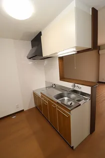 サンハイツ岡崎L【2階】のキッチン