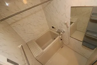 プレミエール A【1階】の風呂