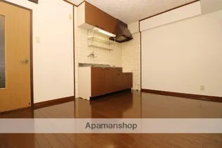 ライネクスト新川【4階】の内装