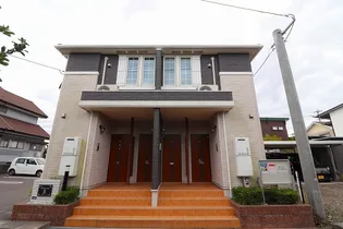 プリムローズの画像