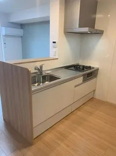 サニープレイス志布志 A棟【2階】のキッチン