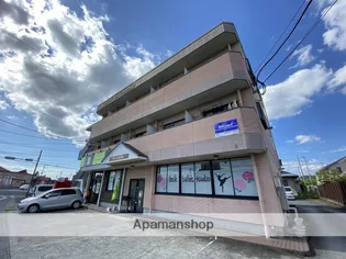 鹿児島県霧島市国分向花町【マンション】の外観