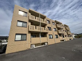 プリマベーラの画像