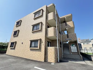 Y Kストークの画像