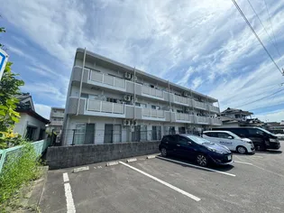 コモードIIの画像