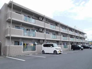 Y&M向日葵の画像