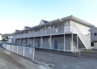アンバーパールの画像