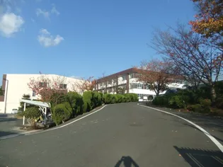 タウンパル【2階】の周辺